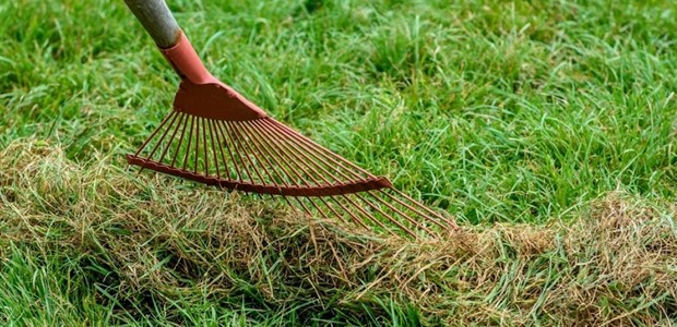 Ξεκινά ο υποχρεωτικός καθαρισμός για τα ακαθάριστα οικόπεδα 